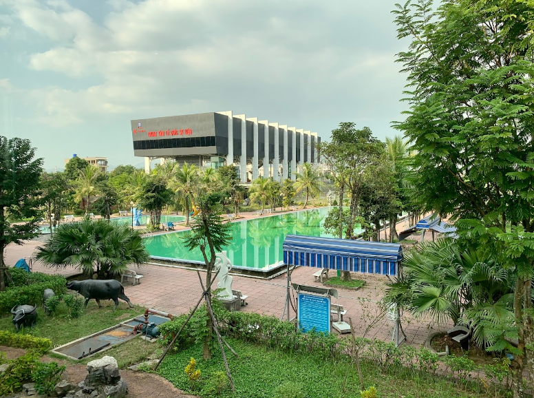 Nước bể bơi tại Đông Triều bị xanh tảo sau một đêm: Xử lý ngay kẻo 